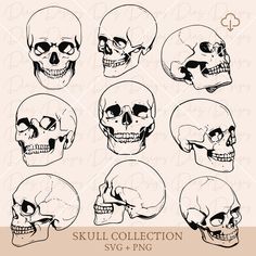 skull collection svg - png