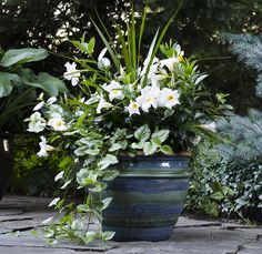 some white flowers are in a blue vase on a stone floor near plants and trees