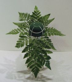 a plant with green leaves in a glass vase