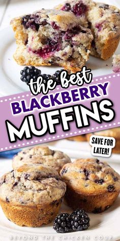 the best blackberry muffins save for later