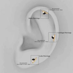 an ear with different types of piercings and their location in the earplug