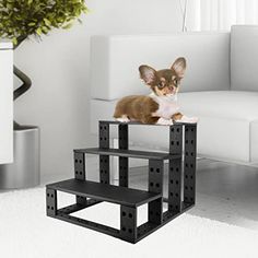 a small brown and white dog sitting on top of a stack of black shelving