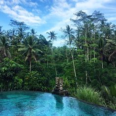 an outdoor swimming pool surrounded by lush green trees and blue sky with clouds in the background