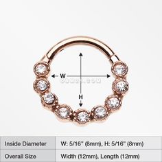 Rose Gold Bubble Glam Sparkles Seamless Clicker Hoop Ring-Clear Rose Gold Internally Threaded Hoop Septum Ring, Internally Threaded Rose Gold Nose Ring, Internally Threaded Rose Gold Septum Ring, Adjustable Rose Gold Hoop Septum Ring, Internally Threaded Rose Gold Hoop Nose Ring, Hypoallergenic Rose Gold Hoop Septum Ring, Piercings Smiley, Oral Piercings, Piercings Eyebrow