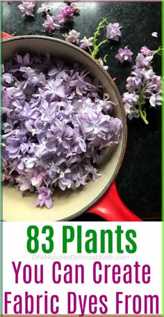 purple flowers in a pot with text overlay that reads, 8 plants you can create fabric dyes from