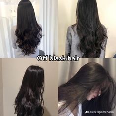 Off Black Hair, Hair Color Names, Soft Black Hair, Black Brown Hair, Haircuts Straight Hair, Hair Dye Colors, Hair Inspo Color, Love Hair