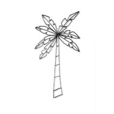 a drawing of a palm tree on a white background