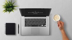 a person holding a coffee cup in front of a laptop computer on a desk next to a plant