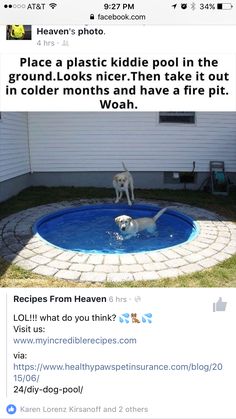 two dogs playing in a pool with the caption that reads, this is a little kiddie pool with water in the shade you take it when it gets cold out