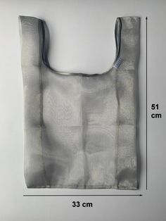 a bag is shown with measurements for it