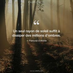 a forest filled with lots of trees covered in fog and sunbeams that reads just one ray of sunshine is enough to dispel millions of shadows