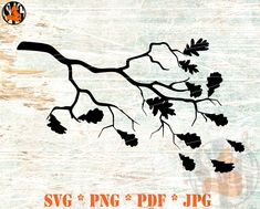 an image of a tree branch with leaves on it and the words svg png df