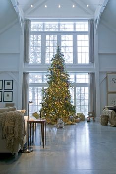 a living room with a large christmas tree in the center and windows on both sides