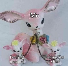 a pink bunny with two little lambs on it's back and the caption me feeling like an ancient child