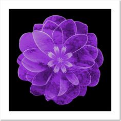 a purple flower on a black background is shown in the center of this image, it appears to be an art work