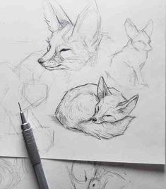 a drawing of two foxes sleeping next to each other