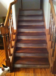 a cat sitting on the floor next to a set of stairs with wooden handrails