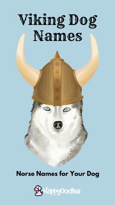 a dog with a helmet on it's head and the words viking dog names