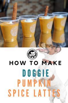 how to make doggie pumpkin spice lattes with cinnamon sticks in the cups