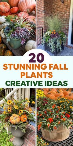 several pictures of pumpkins and flowers on the front porch with text overlay reading 20 stunning fall plants creative ideas