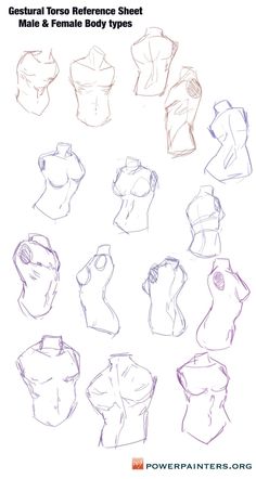 several different types of female torsos drawn in pencil