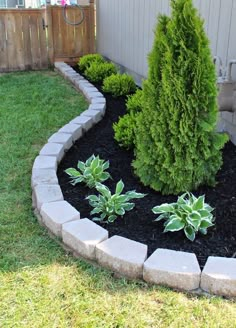 a small garden with green plants in the center and black mulch on the ground