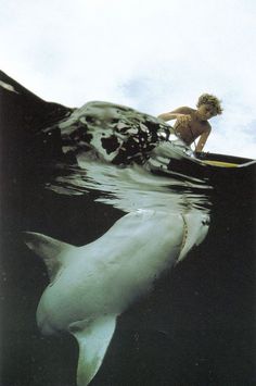 a woman riding a surfboard on top of a white shark