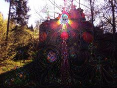 an artistic image of a woman's face surrounded by trees in the woods with sun shining through her eyes