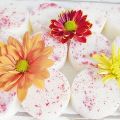 three flowers sitting on top of some white plates with red and yellow sprinkles