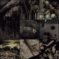 a collage of different images with dead objects