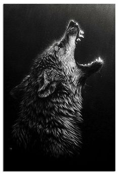 a black and white drawing of a wolf howling in the dark with its mouth open