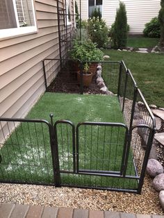 a fenced in yard with grass and rocks