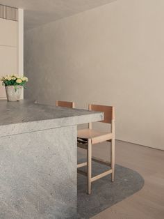 a kitchen counter with two chairs and a potted plant sitting on top of it