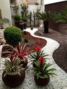 some plants and rocks are in the middle of a garden with white pebbles on the ground