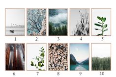 there are many different pictures on this page to describe the number of frames in each picture