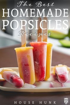 the best homemade popsicles recipe book by house hunk cover art print design food