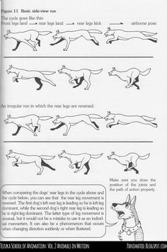 the instructions for how to draw a running fox