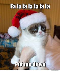 a grumpy cat wearing a santa hat with the caption dashing through the snow to get the hellaway from you