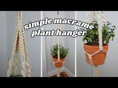 macrame plant hanger made from rope and potted plants