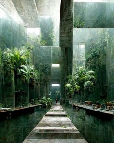 an empty room filled with lots of plants and mirrors on the walls, along with concrete steps leading up to it