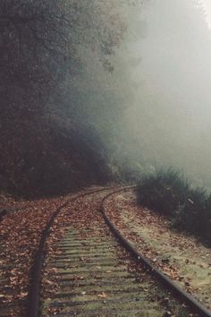 an old train track in the foggy woods with leaves on it's tracks