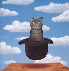 a cat sitting on top of a wooden table wearing a hat with clouds in the background