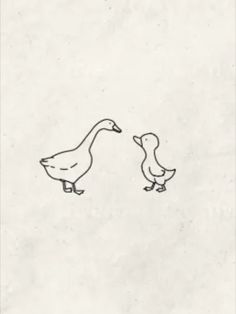 two ducks standing next to each other in front of a white wall with writing on it