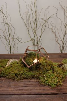 moss covered table with candles and branches in the background on wooden surface, closeup