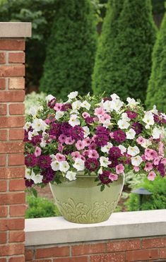 purple and white petunias in a green pot on a brick wall near some bushes