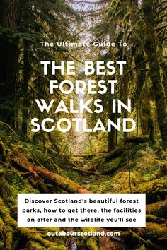 the ultimate guide to the best forest walks in scotland, with text overlaying it