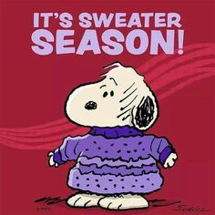 a charlie brown poster with the words it's sweater season on it and a cartoon snoop