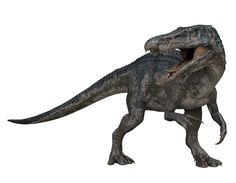 a dinosaur with its mouth open and it's teeth wide open, standing in front of a white background