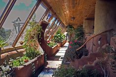 the inside of a building with many windows and plants growing in pots next to it