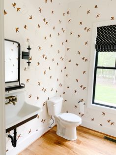 a white toilet sitting in a bathroom next to a sink under a window with birds on it